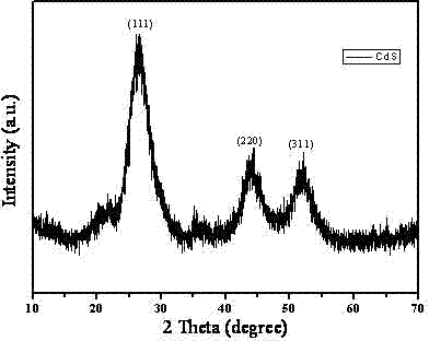 Preparation method of cadmium sulfide quantum dots with controllable sizes