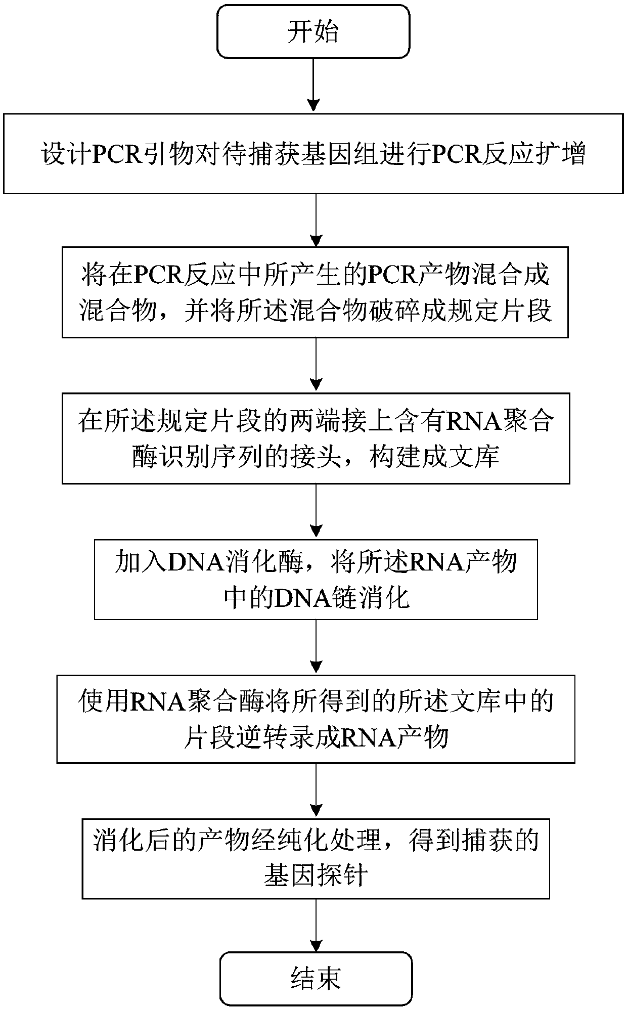 Preparation method of capture probe of large-fragment genome as well as kit