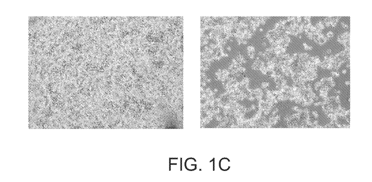 Vaccine in the form of a recombinant sero type 9 avian adenovirus vector