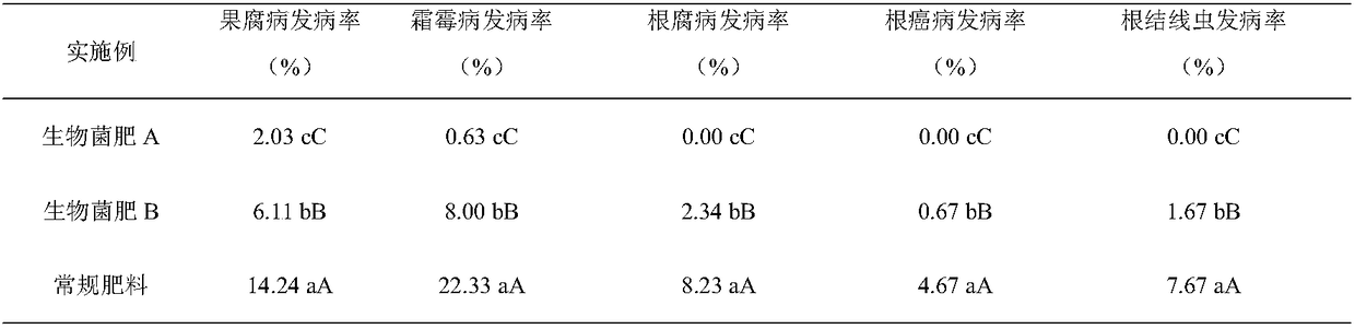 Biological bacterial fertilizer specially used for grapes as well as preparation method and application thereof