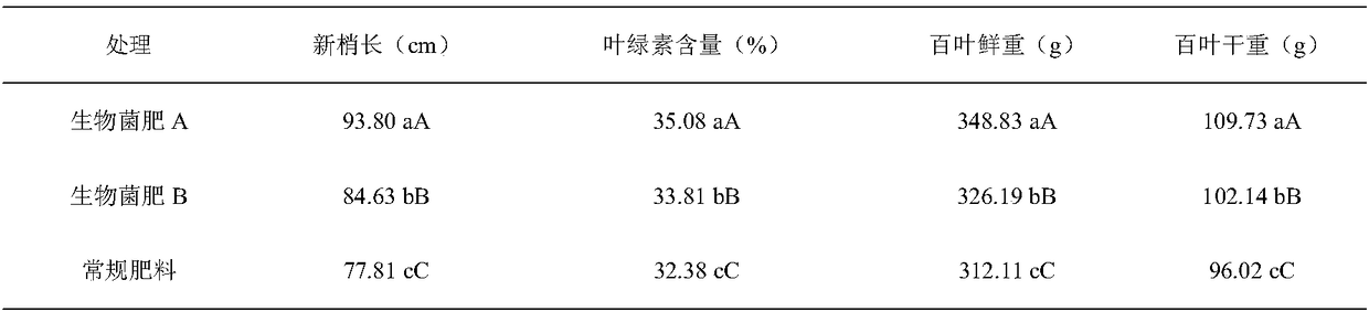 Biological bacterial fertilizer specially used for grapes as well as preparation method and application thereof