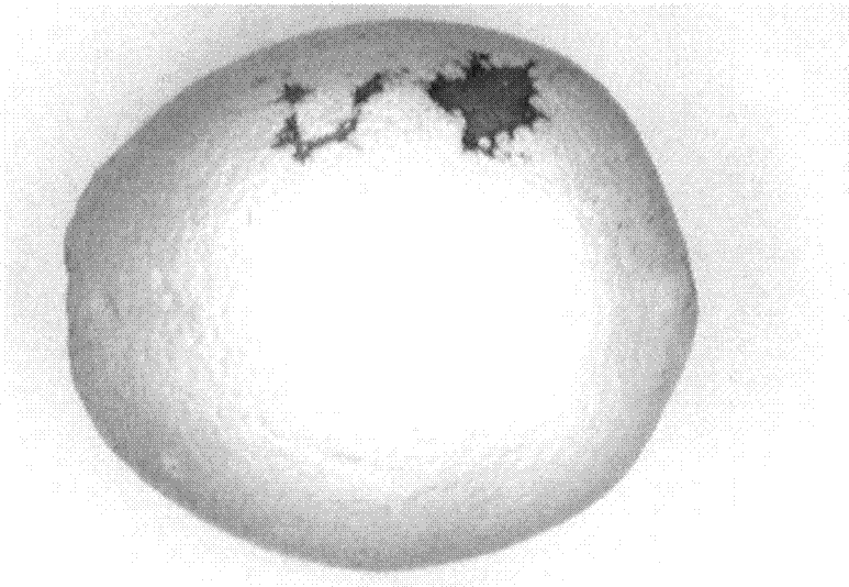 Fast local threshold segmentation method for fruit surface defect detection