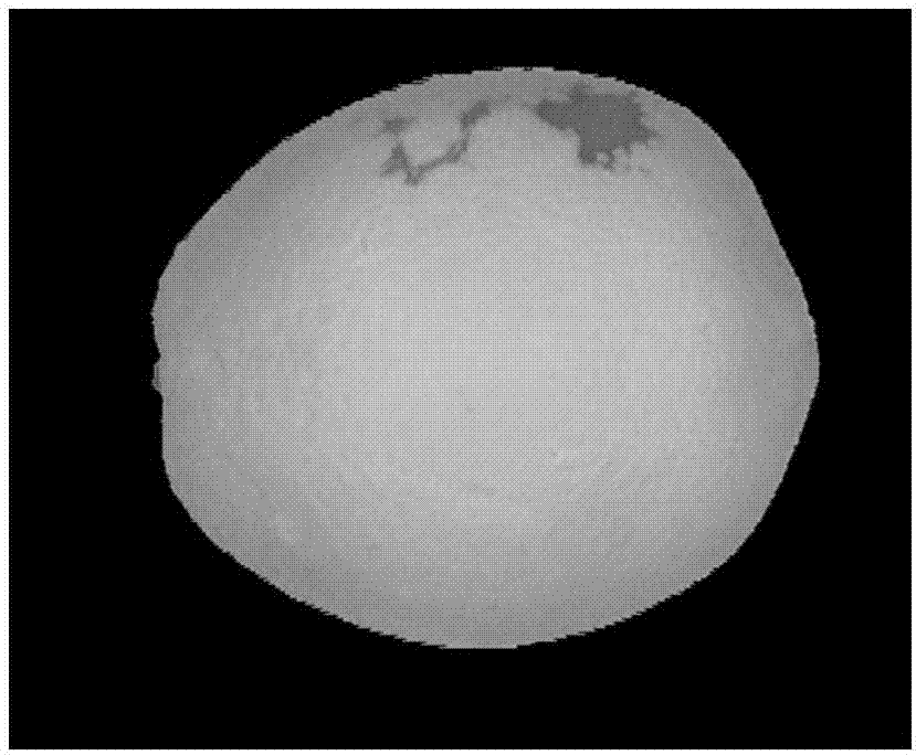 Fast local threshold segmentation method for fruit surface defect detection