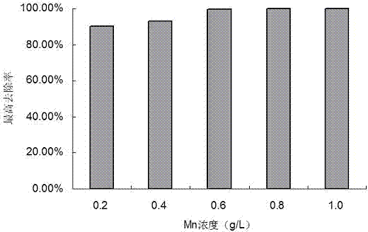 Serratia marcescens M7a and application of Serratia marcescens M7a in heavy metal ion removing