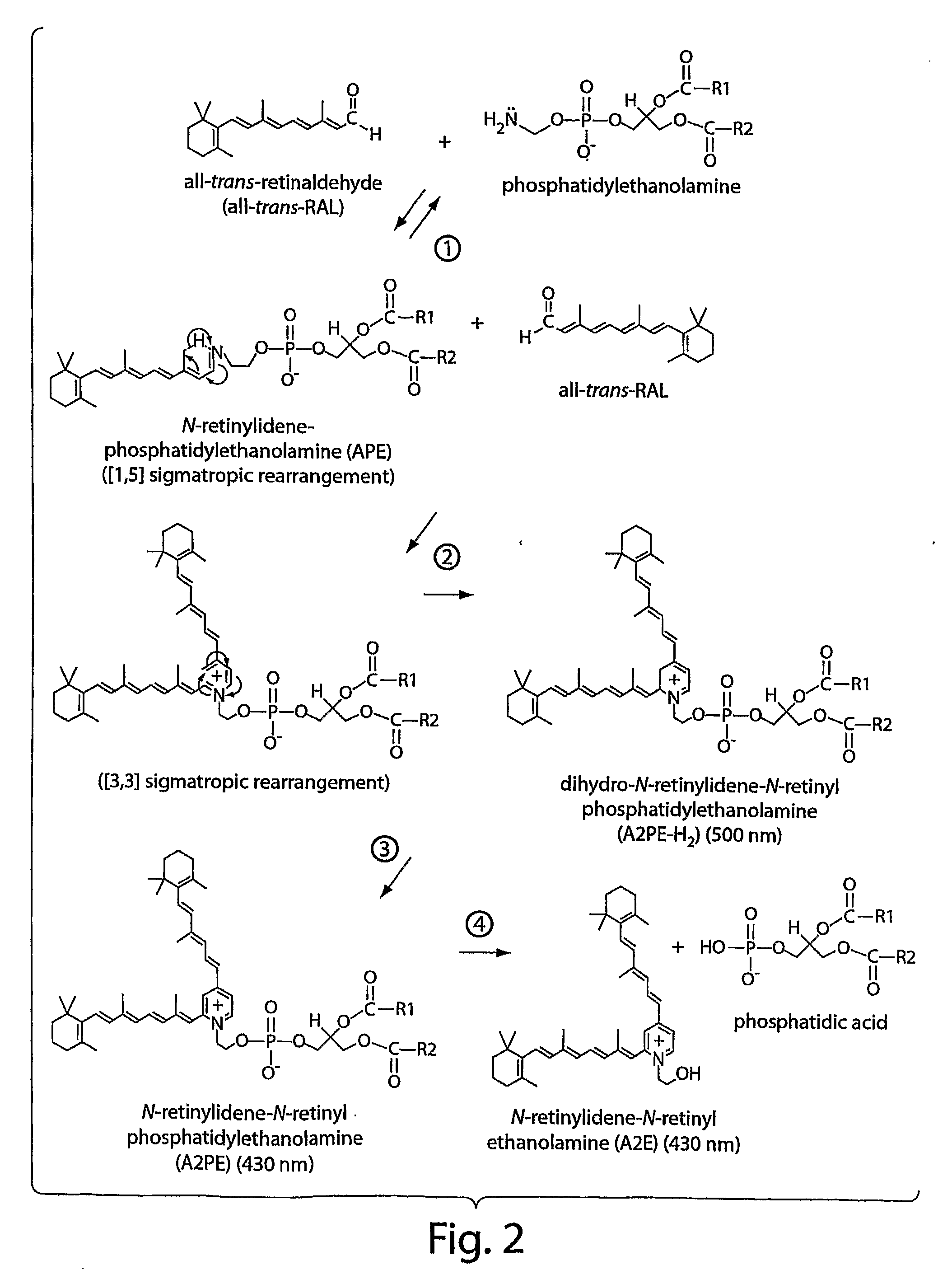 Compositions and methods of treating retinal disease