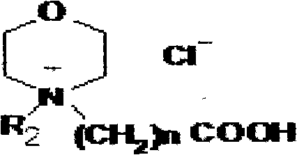 Preparation method of chitosan fiber