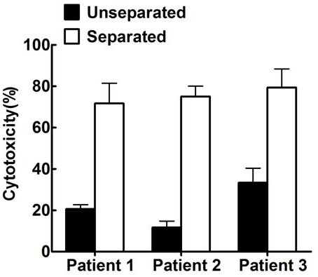 Tumor neoantigen-based T cell sorting preparation technology and application thereof