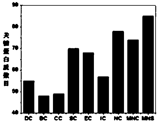 Key protein recognition method based on largest neighbor sub-network