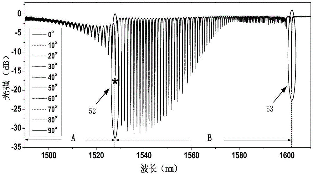 Orthogonal polarization optical fiber biological refractive index sensor and detecting method thereof