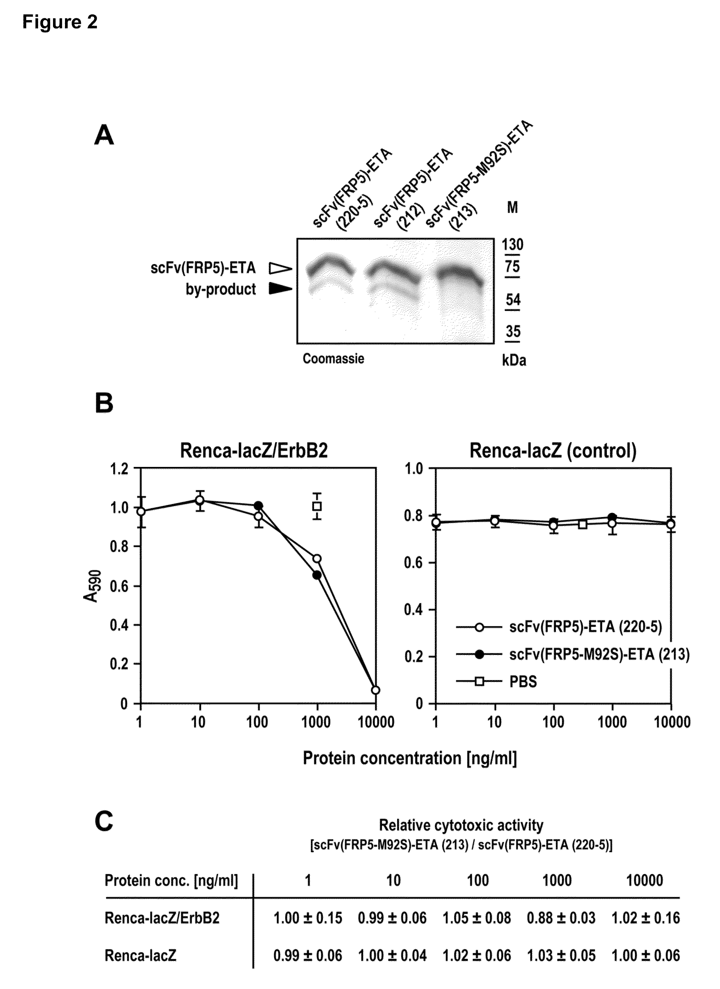 Optimized DNA and protein sequence of an antibody to improve quality and yield of bacterially expressed antibody fusion proteins