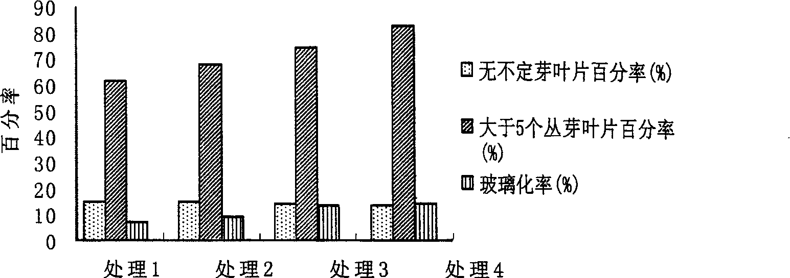 Efficient flameray-gerbera propagation production method using excised leaf