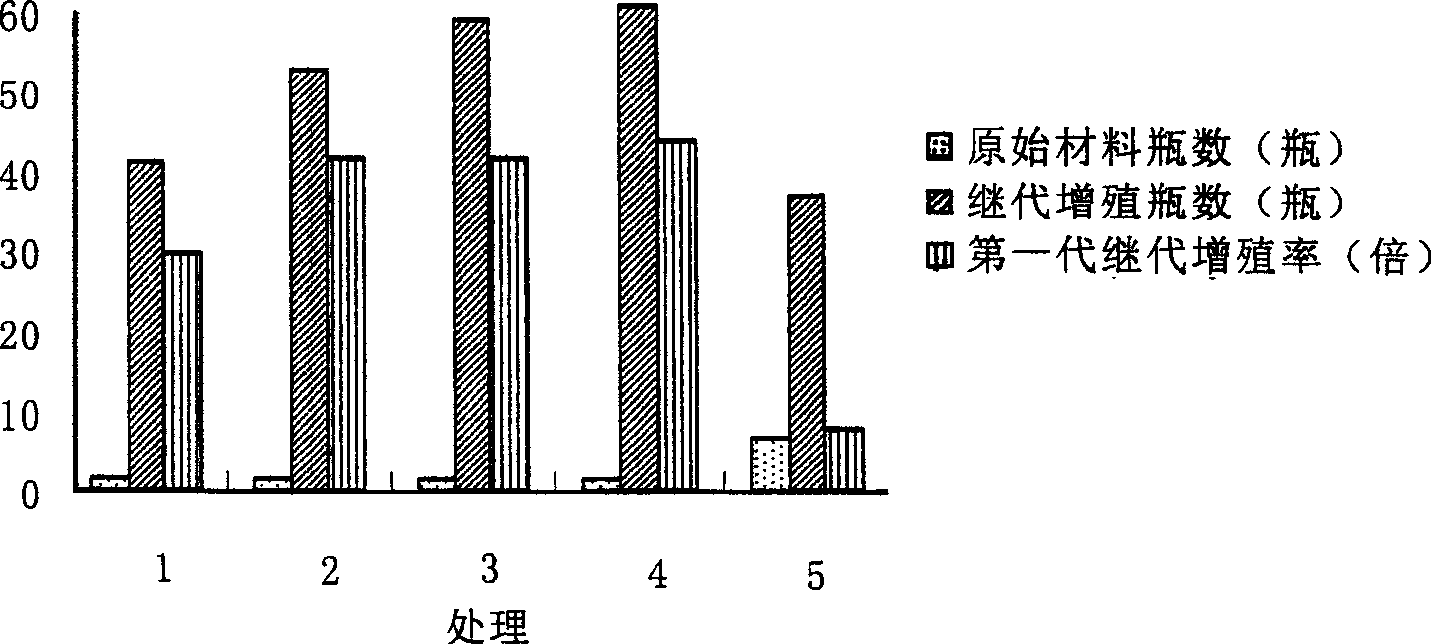 Efficient flameray-gerbera propagation production method using excised leaf