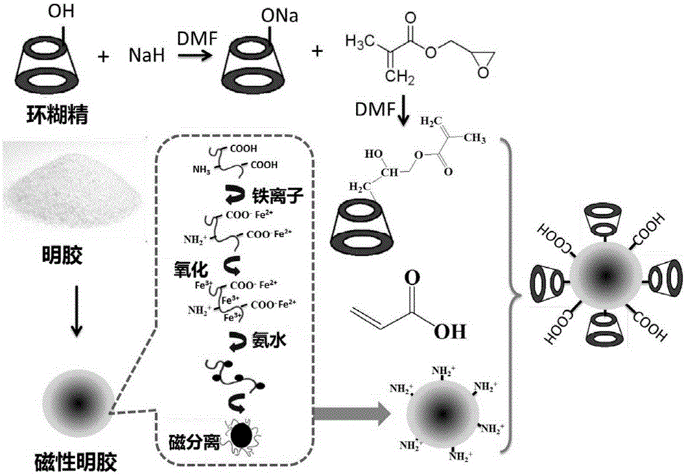 Cyclodextrin modified magnetic gelatin for efficient adsorption of moxidectin and preparation method of cyclodextrin modified magnetic gelatin