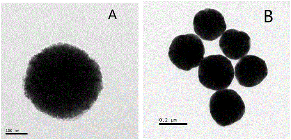 Cyclodextrin modified magnetic gelatin for efficient adsorption of moxidectin and preparation method of cyclodextrin modified magnetic gelatin