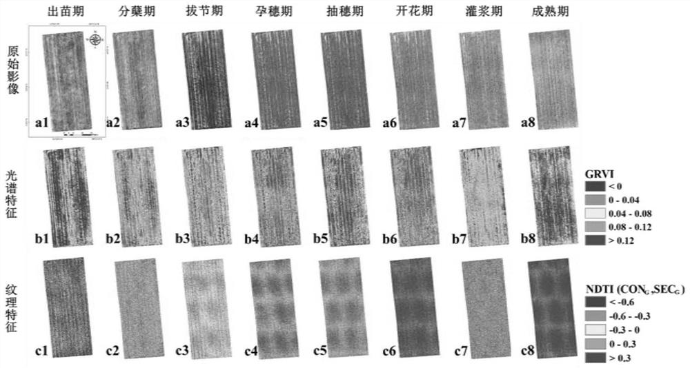 Wheat phenological period real-time classification method based on unmanned aerial vehicle RGB image