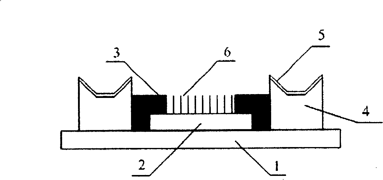 Field emission display with plane grid structure and manufacturing technology thereof