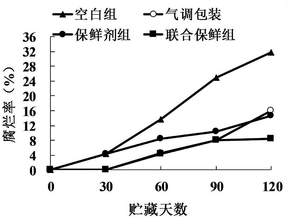 Preservation method of big cherry by lactic acid bacteria preservative and modified atmosphere packaging