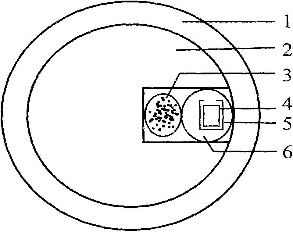 Pearl containing human bone ash and preparation method of pearl