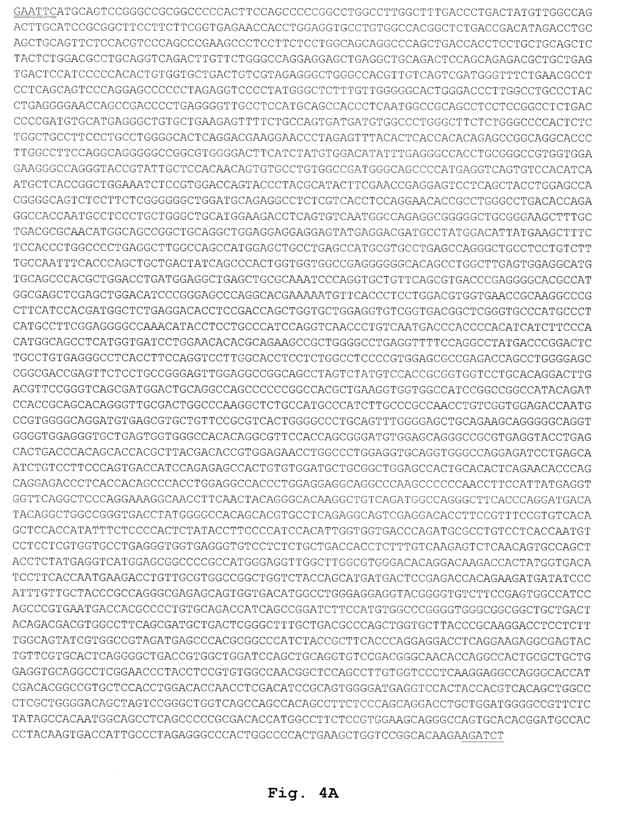 Nucleic acid molecules encoding for chimeric cspg4 proteins and therapeutic uses thereof