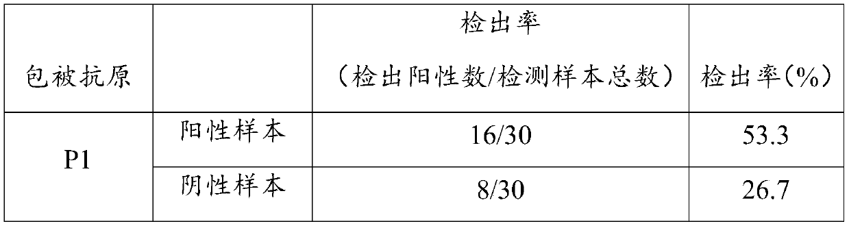 Mycoplasma pneumoniae antigen as well as preparation method and application thereof