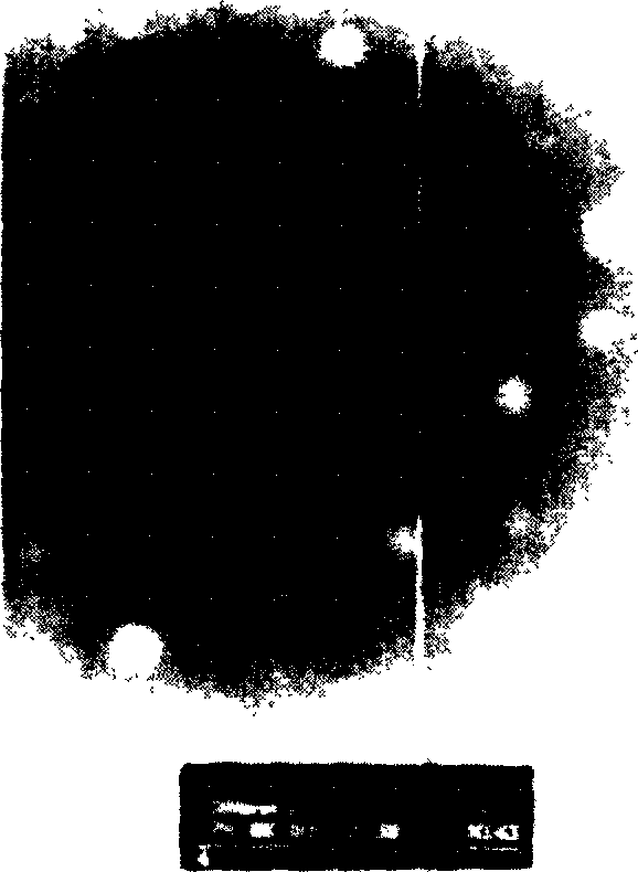 9-(2-fatty ester ethoxy methyl) guanine, liposome, and preparation emthod