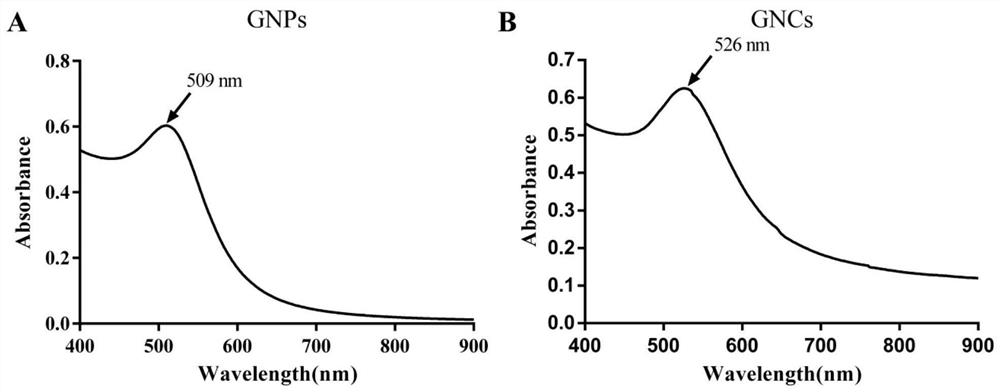 Penetration-enhanced gold nanocluster drug-loaded targeting preparation and preparation method and application thereof