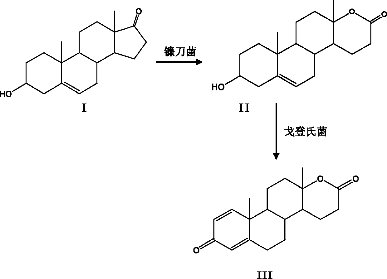 Method for preparing testolactone by microbial transformation