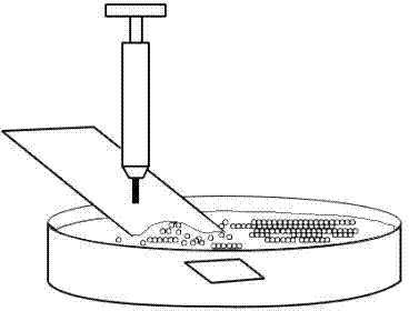 Method for preparing ordered germanium quantum dot on silicon substrate by sputtering