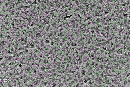 Preparation method of phytic acid polymer and application of phytic acid polymer in field of metal surface pretreatment