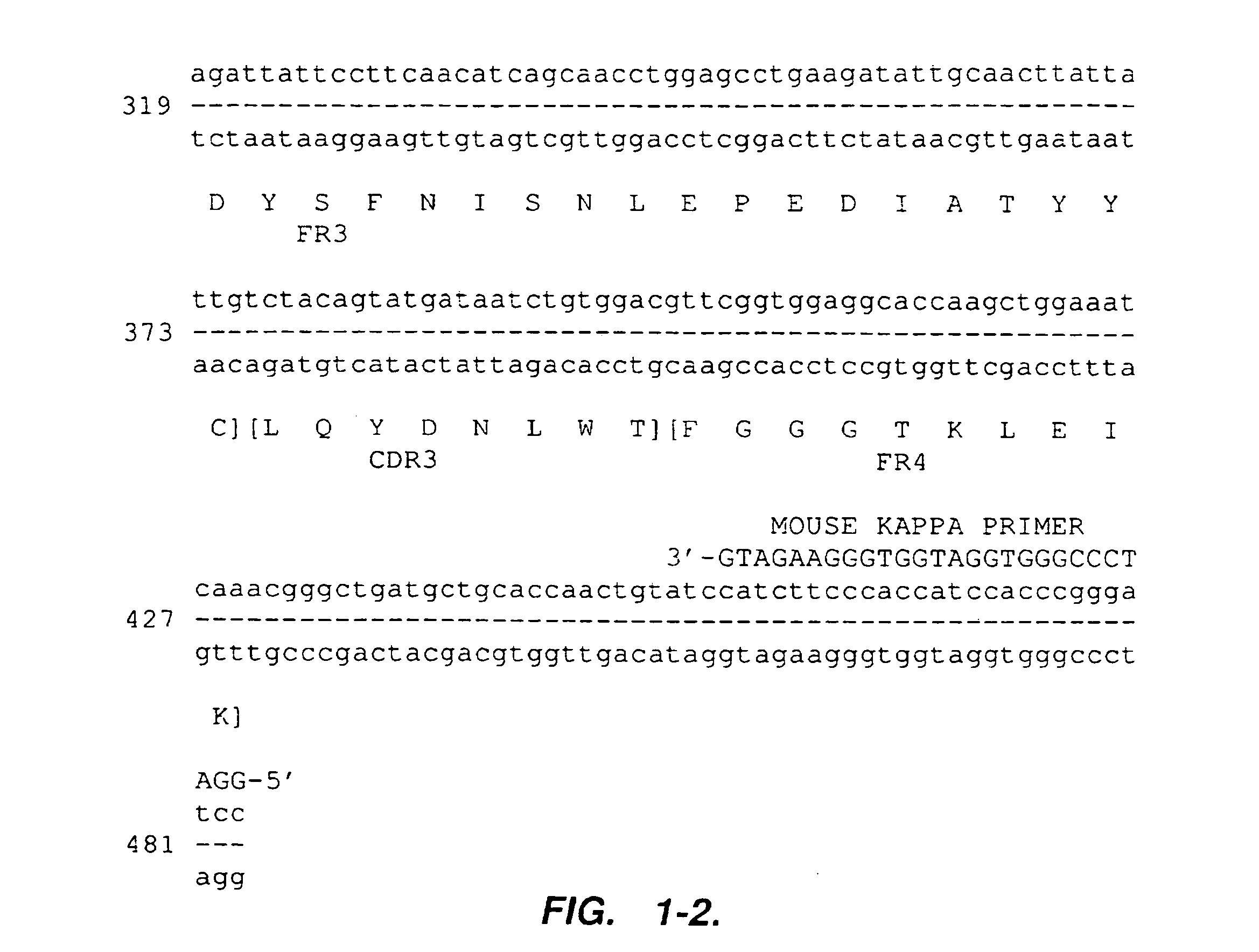 Humanized anti-VLA 4 immunoglobulins and uses thereof