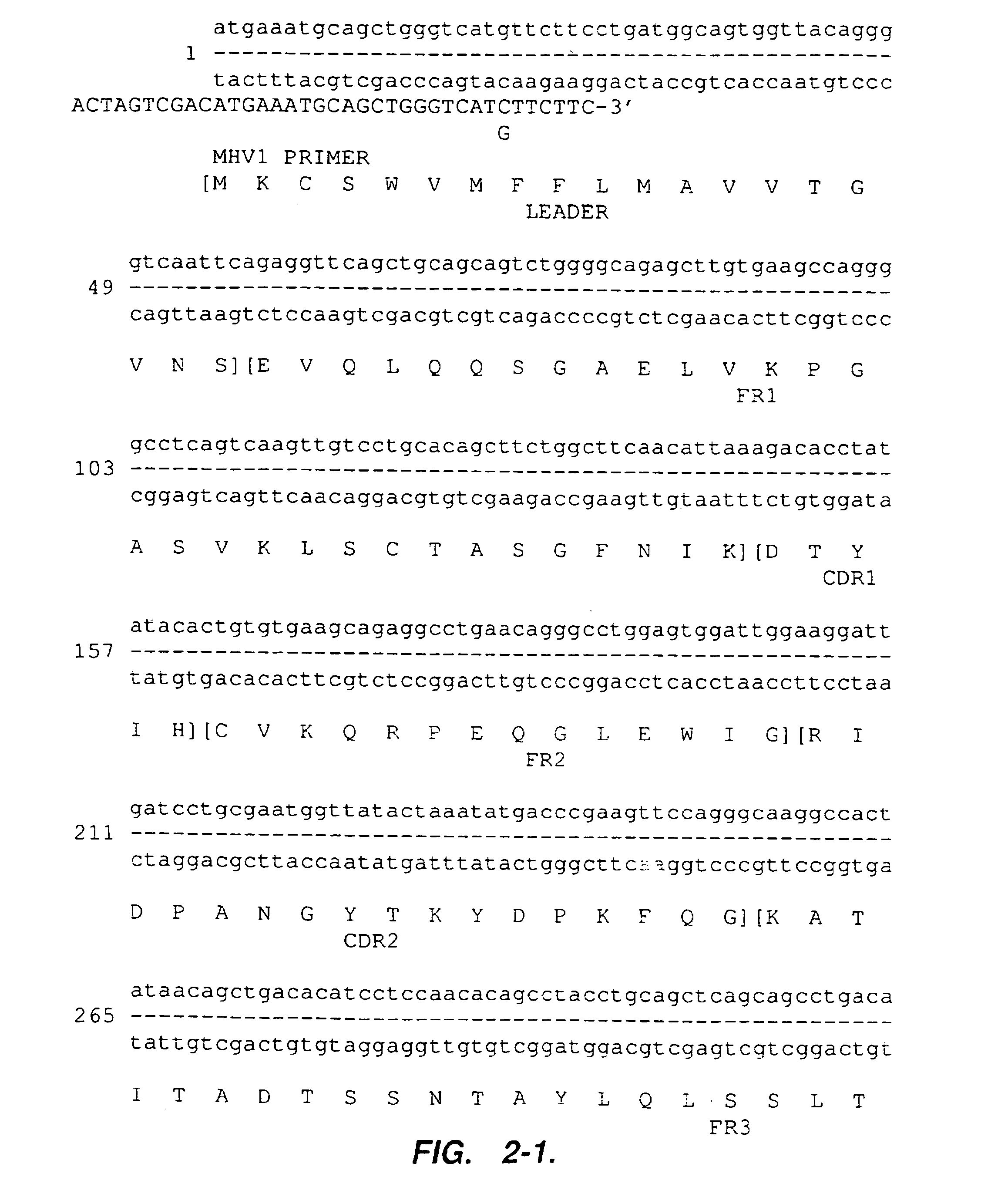 Humanized anti-VLA 4 immunoglobulins and uses thereof