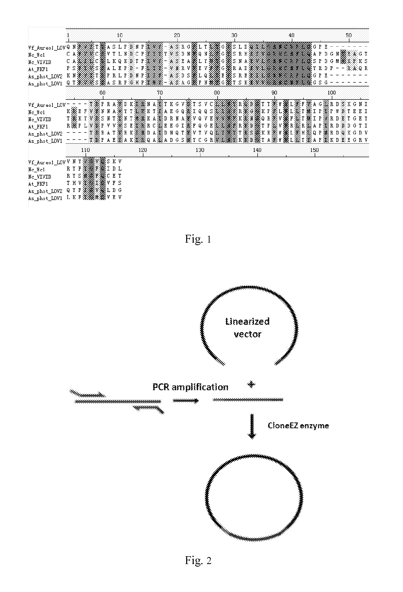 Light-Switchable Gene Expression System