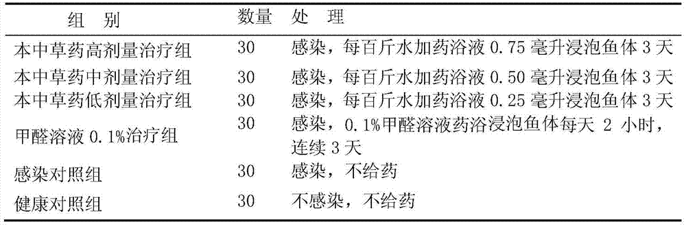 Chinese herbal medicine for curing marine fish bacterial diseases