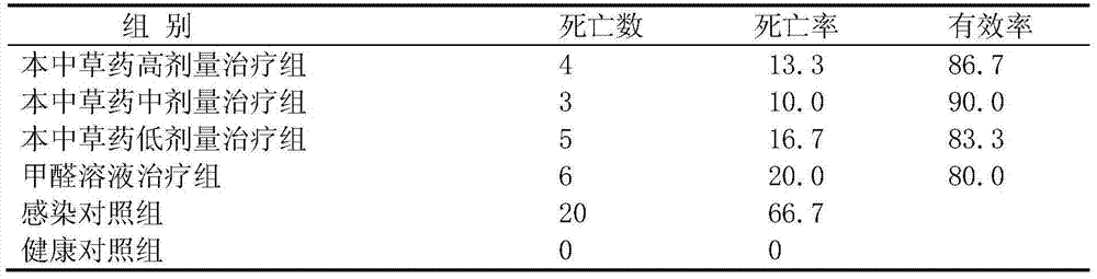 Chinese herbal medicine for curing marine fish bacterial diseases