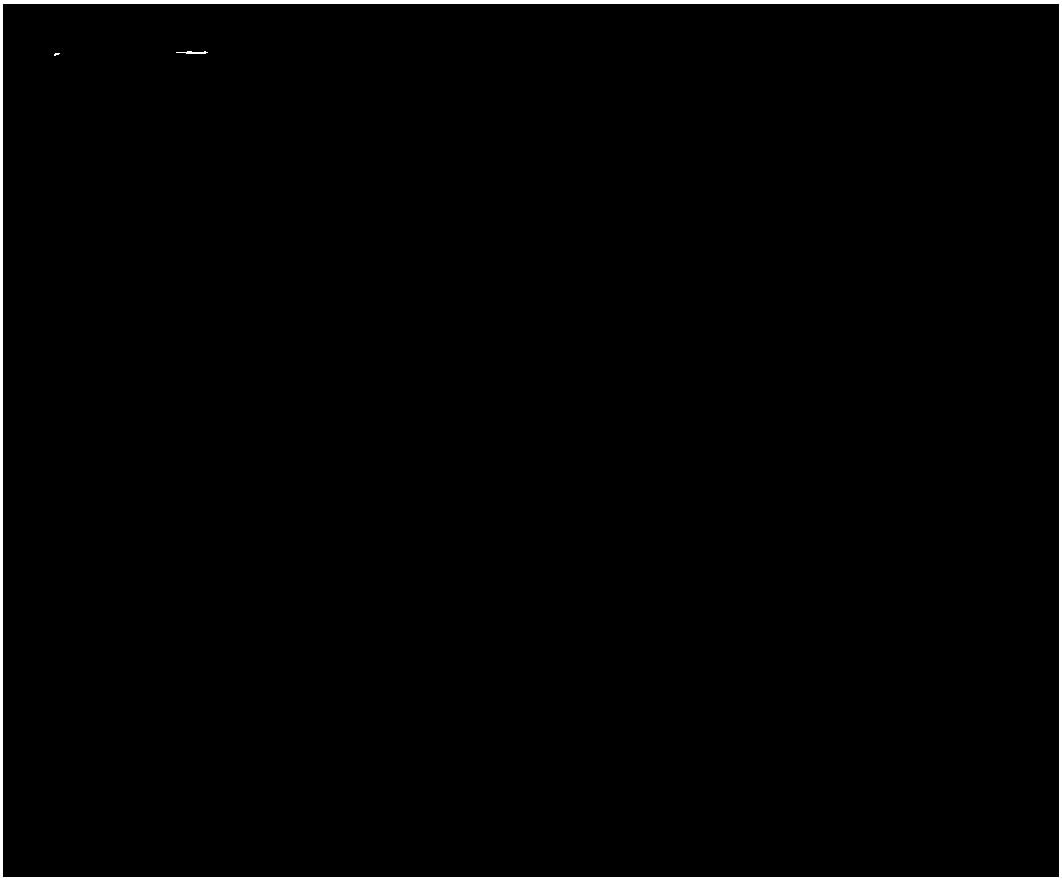 Recombinant human myoglobin expression and purification method