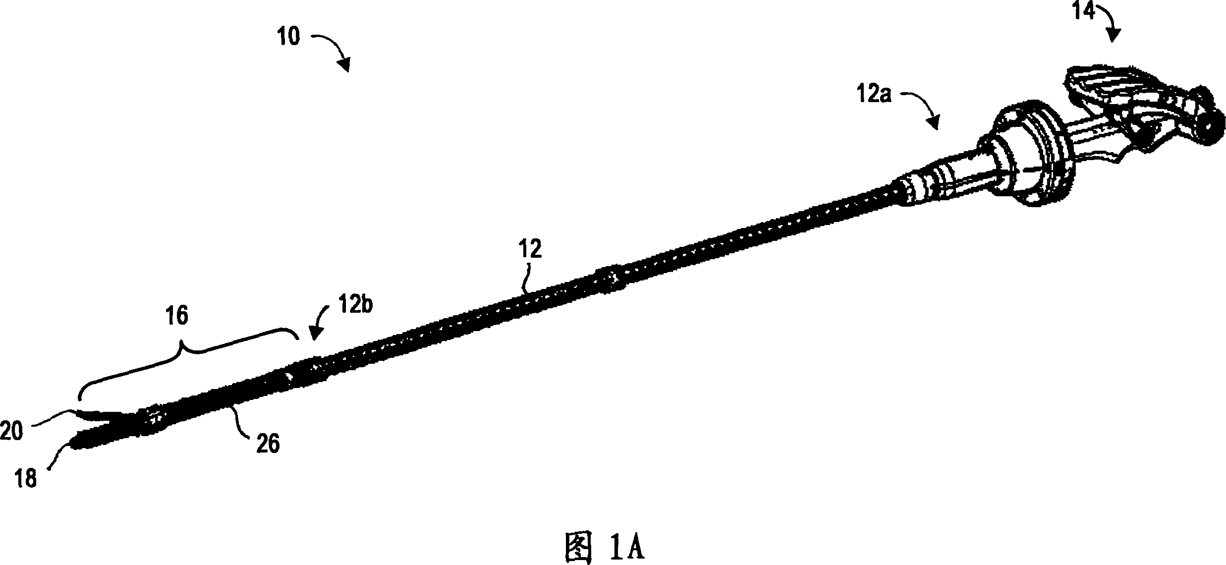 Articulating endoscopic accessory channel