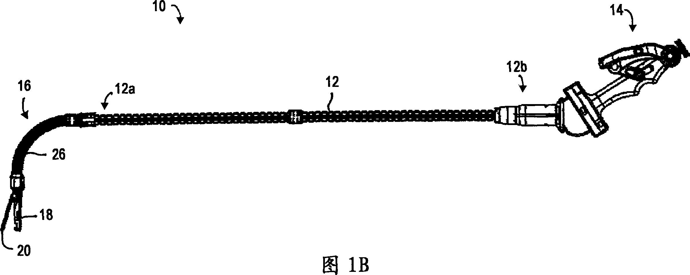 Articulating endoscopic accessory channel