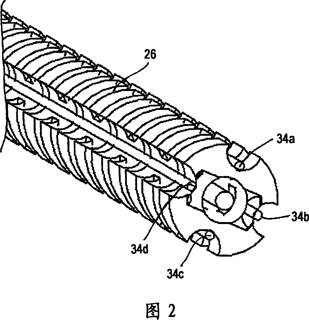 Articulating endoscopic accessory channel