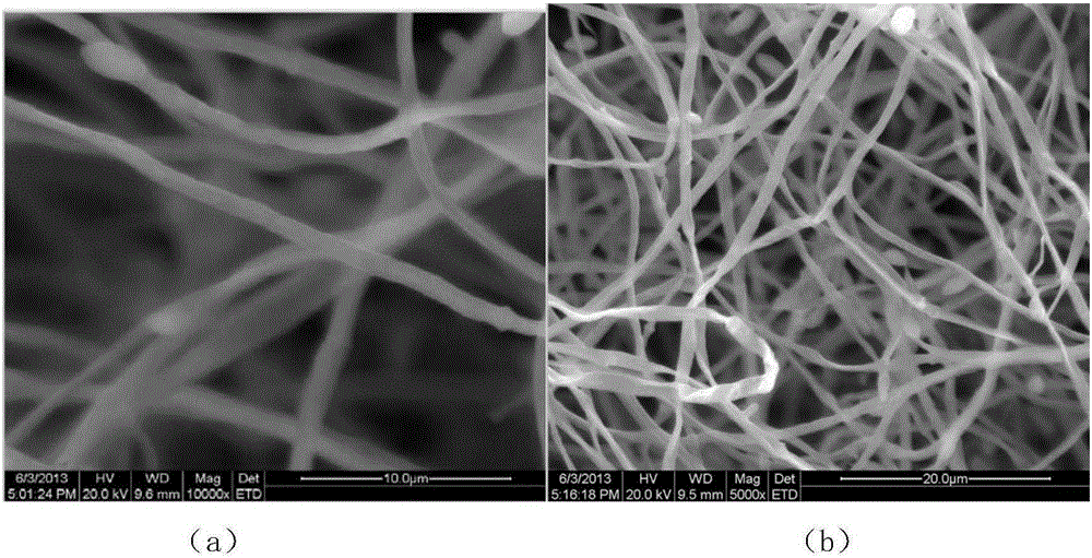 A strain producing red pigment and method for producing red pigment