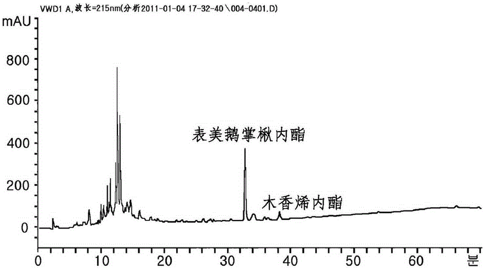 Method for separating therapeutic agent for chronic myelogenous leukemia from bark of liriodendron tulipifera l.