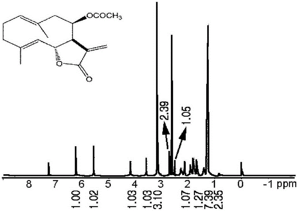 Method for separating therapeutic agent for chronic myelogenous leukemia from bark of liriodendron tulipifera l.