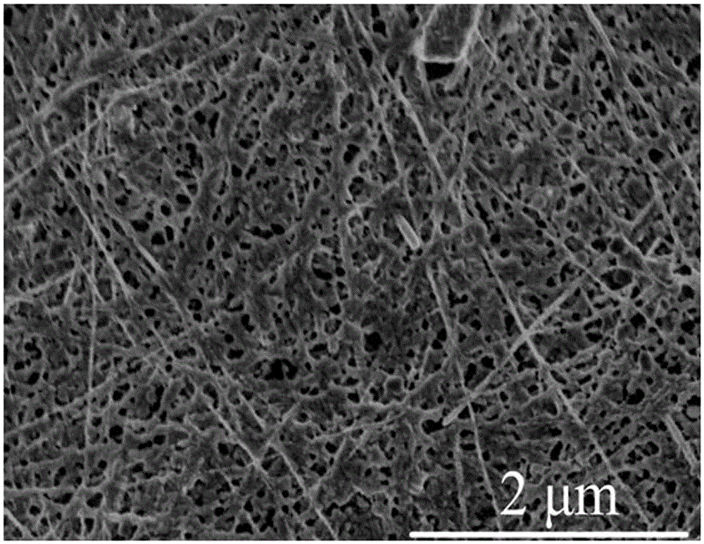 Preparation method for composite thermoelectric film with flexible reduced graphene oxide and tellurium nano wires