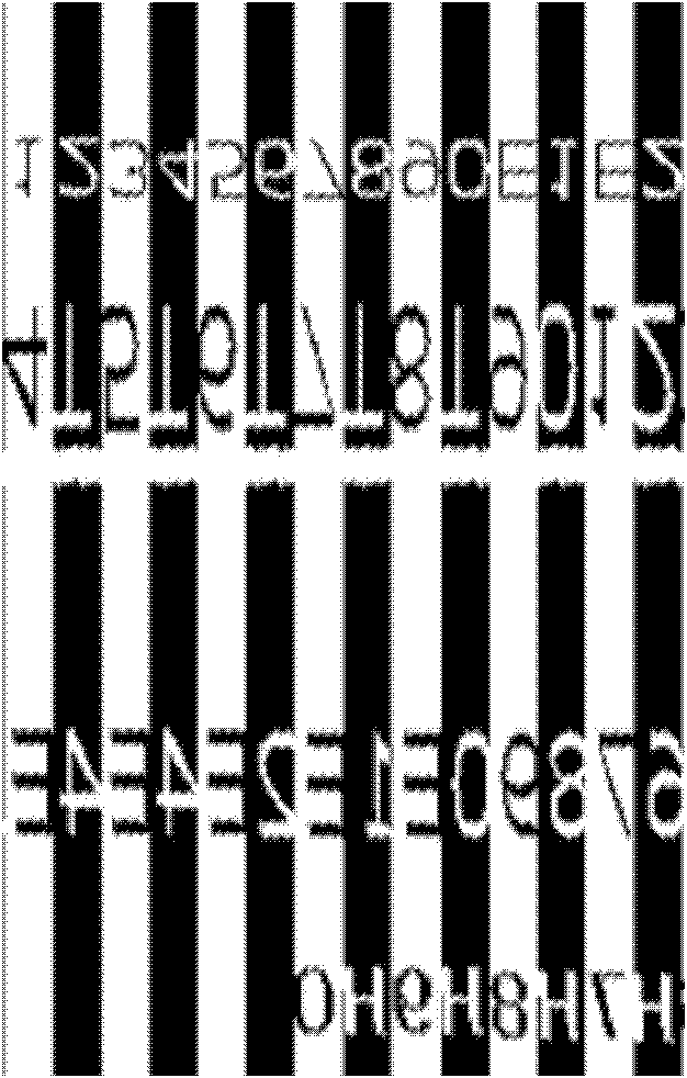 System and method for calibrating Hadamard transformation spectrum imager