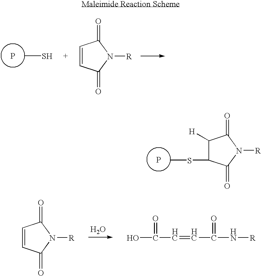 Modified therapeutic peptides with extended half-lives in vivo