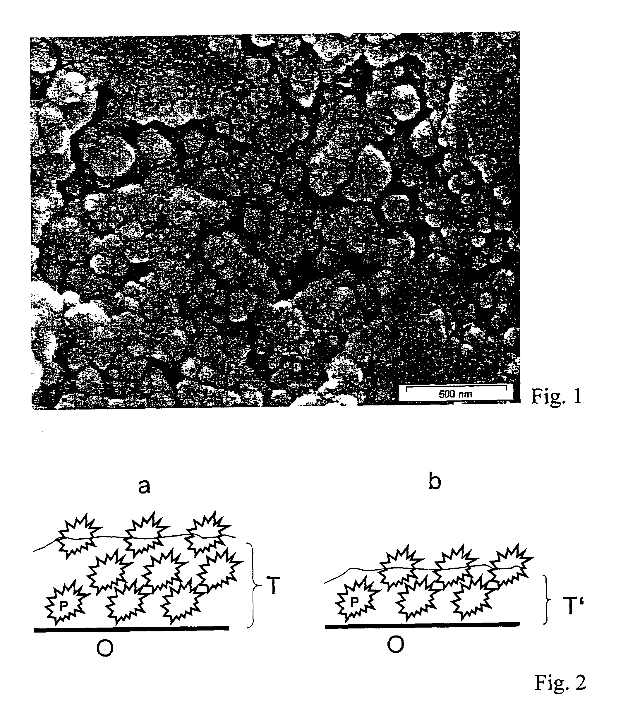 Surfaces rendered self-cleaning by hydrophobic structures and a process for their production