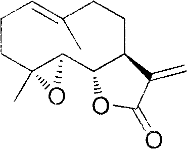 Method for preparing parthenolide originated from magnolia delavayi, magnolia liliiflora and magnolia denudate