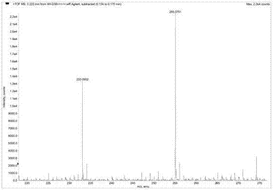 Blaps rynchopetera fairmaire extract E as well as preparation method and pharmaceutical application thereof