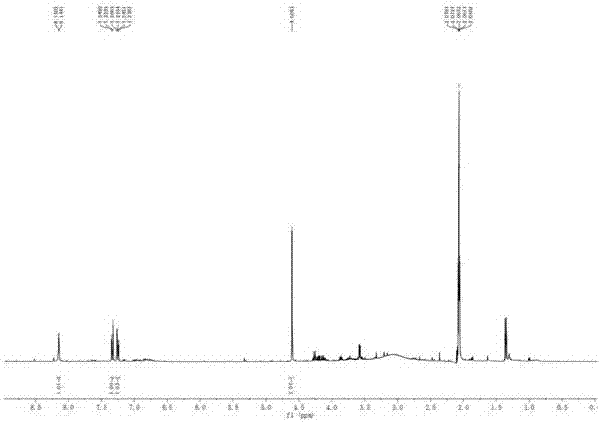 Blaps rynchopetera fairmaire extract E as well as preparation method and pharmaceutical application thereof