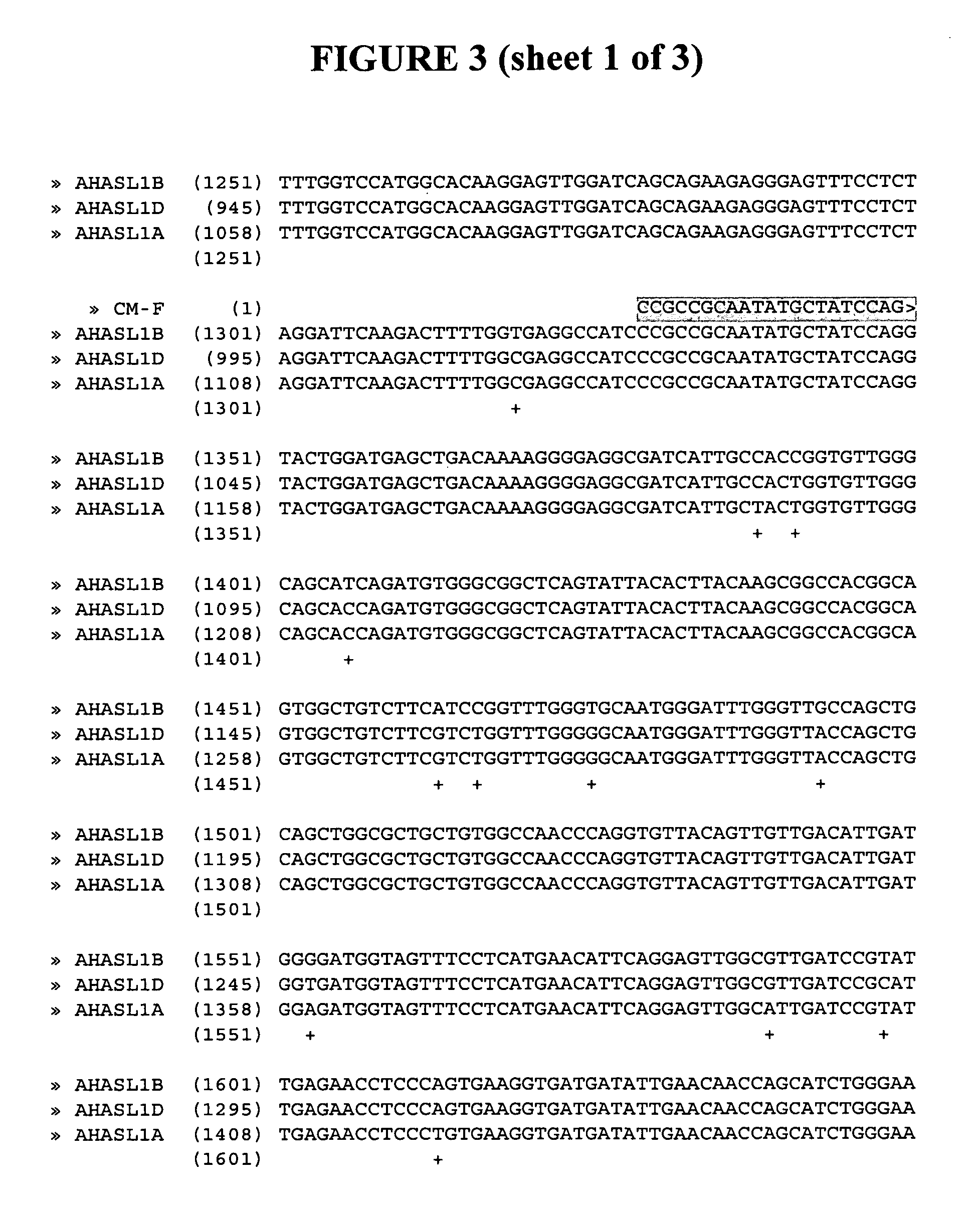 Methods and compositions for analyzing AHASL genes