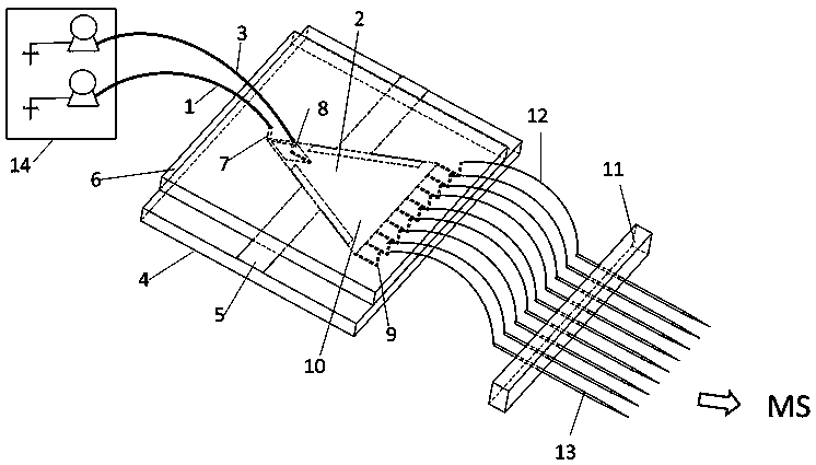 Microfluidic free flow paper chromatographic array spray mass spectrometry device